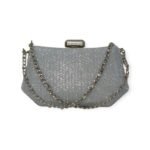 Silver Clutch with Fancy Chain